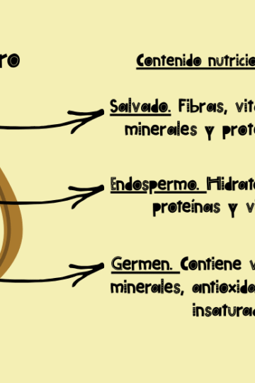 La mejor harina para hacer pan de hamburguesa artesano es la harina molida a piedra.